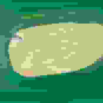 Placeholder for JC 1178