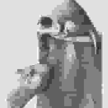 Placeholder for JC 1218