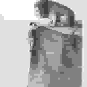 Placeholder for JC 1219