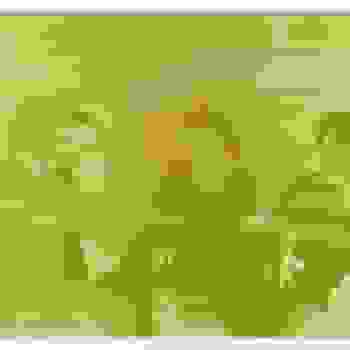 Placeholder for JC 1226