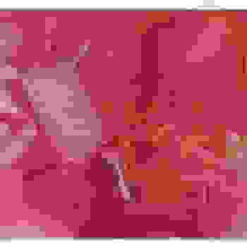 Placeholder for JC 1227
