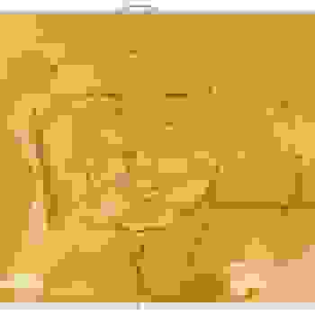 Placeholder for JC 1228
