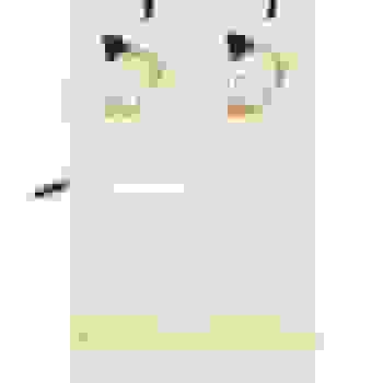 Placeholder for JC 1252