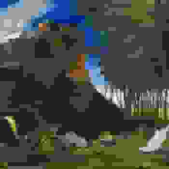 Placeholder for JC 1265