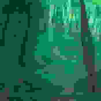 Placeholder for JC 1281