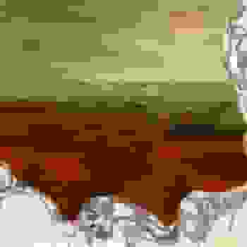 Placeholder for JC 1299