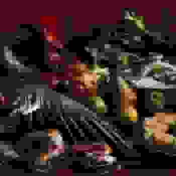Placeholder for JC 1313