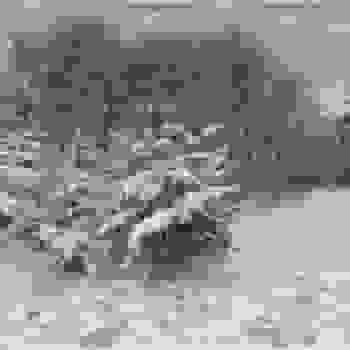 Placeholder for JC 1317