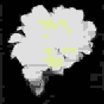 Placeholder for JC 1320
