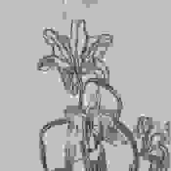 Placeholder for JC 1326