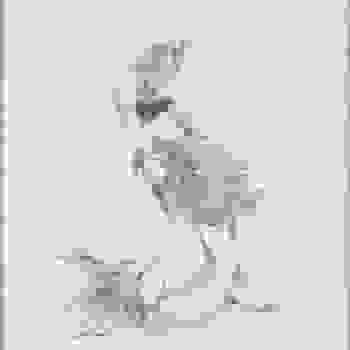 Placeholder for JC 1327