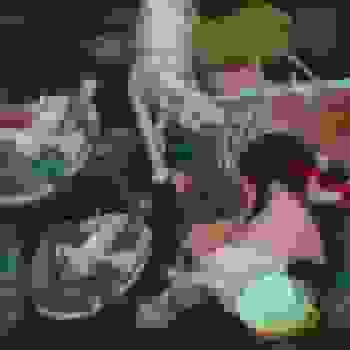 Placeholder for JC 1333