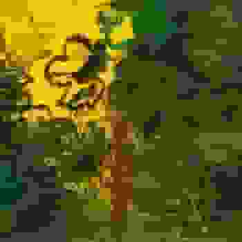 Placeholder for JC 1335