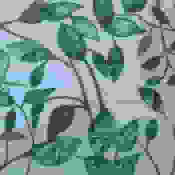 Placeholder for JC 1346