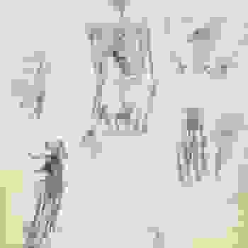 Placeholder for JC 1648