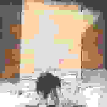 Placeholder for JC 1651