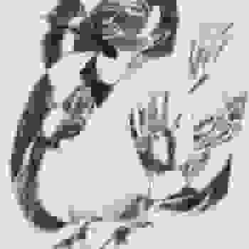 Placeholder for JC 1652