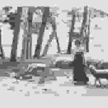 Placeholder for JC 1657