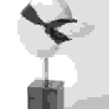 Placeholder for JC 1753 a