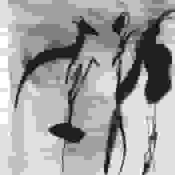 Placeholder for JC 1946