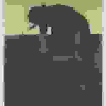 Placeholder for JC 2040