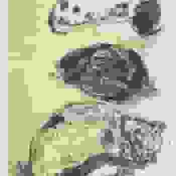 Placeholder for JC 2042