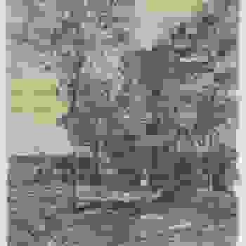 Placeholder for JC 2045