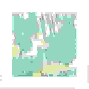 Placeholder for JC 2171