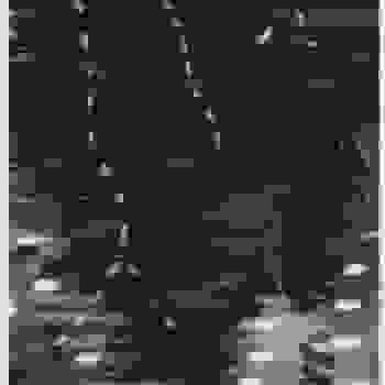 Placeholder for JC 2173