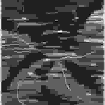 Placeholder for JC 2174