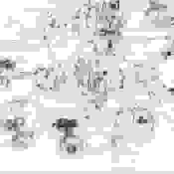 Placeholder for JC 2178