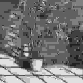 Placeholder for JC 2186