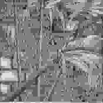 Placeholder for JC 2187