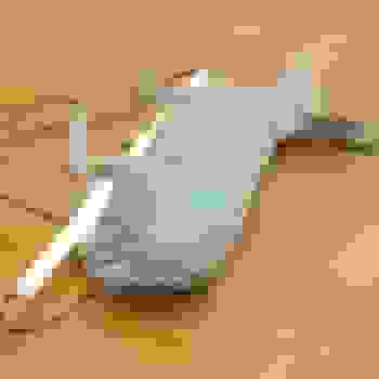 Placeholder for JC 2200