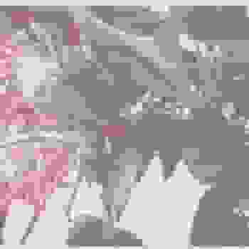 Placeholder for JC 2206 d