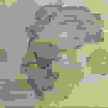 Placeholder for JC 2220
