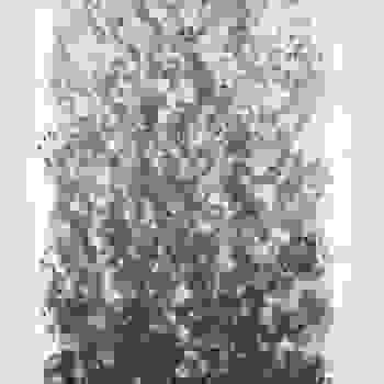 Placeholder for JC 2228