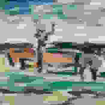 Placeholder for JC 2232