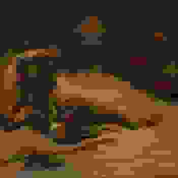 Placeholder for JC 2233