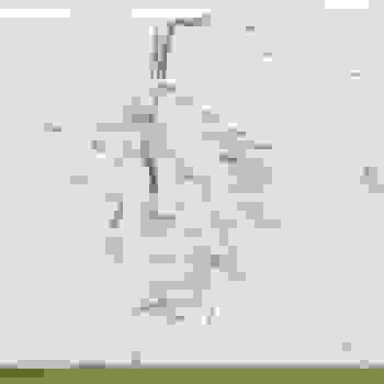 Placeholder for JC 2255