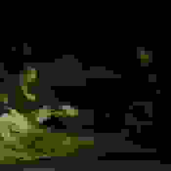 Placeholder for JC 2261