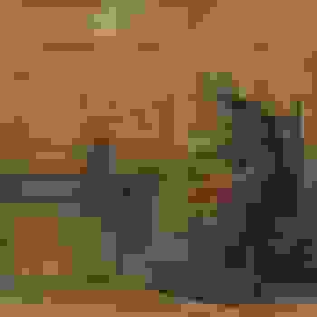 Placeholder for JC 2352