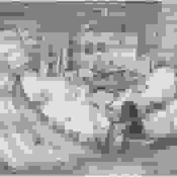 Placeholder for JC 2361