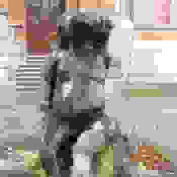 Placeholder for JC 2363