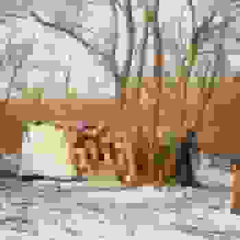 Placeholder for JC 2383