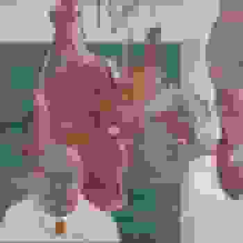 Placeholder for SZ 51935