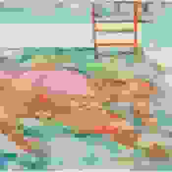 Placeholder for SZ 51937