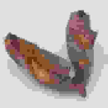 Placeholder for Jc 0001