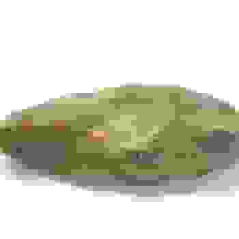 Placeholder for Jc 0009