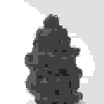 Placeholder for Jc 0153